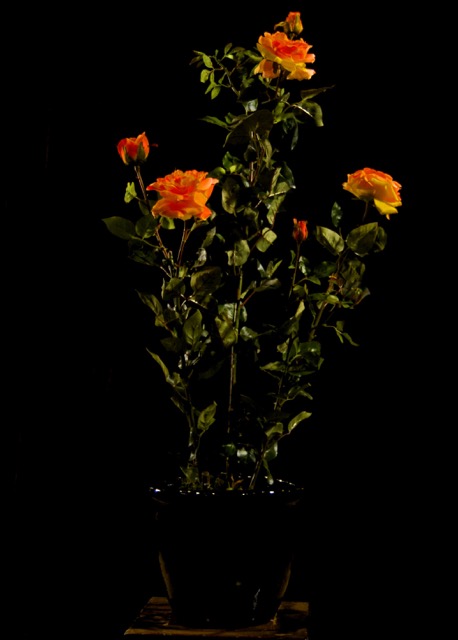 MPR_3678 - Version 2.jpg