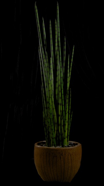 ORIGINAL MPR3609.jpg