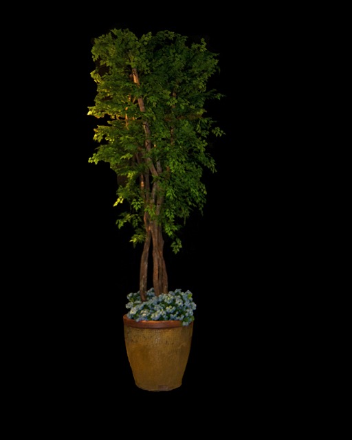 MPR 3394 - Version 2.jpg