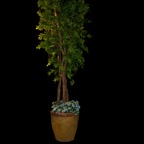 MPR 3394 - Version 2.jpg