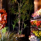 MPR_3455 - Version 2.jpg