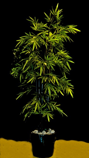 MPR3489 - Version 2.jpg