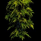 MPR3489 - Version 2.jpg