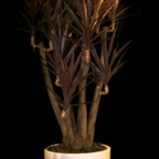 MPR3500 - Version 3.jpg